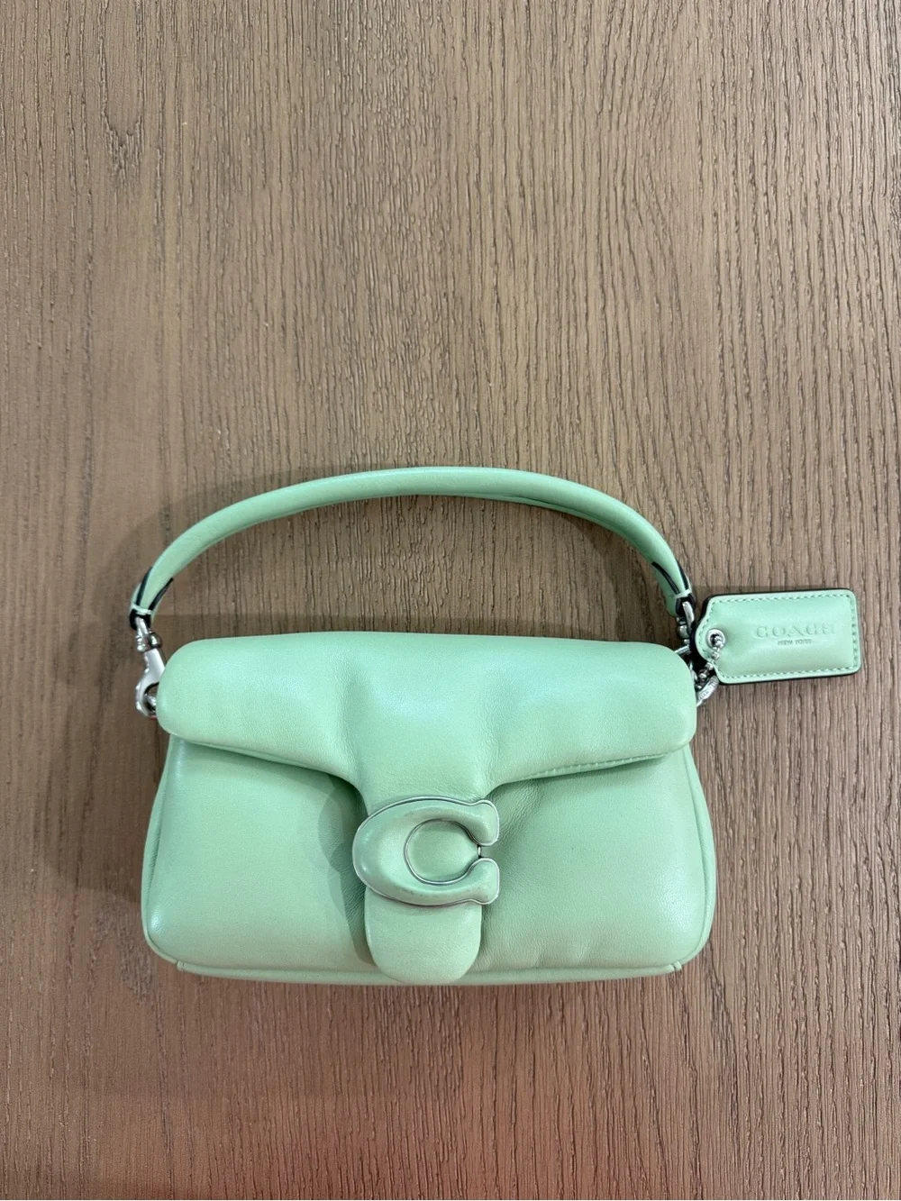 Coach Tabby Pillow Green